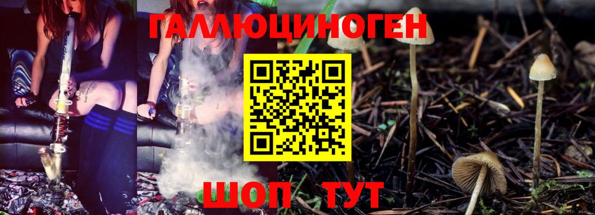 Галлюциногенные грибы Psilocybe  Вход с VPN  Галлюциногенные грибы Psilocybe  Богданович 
